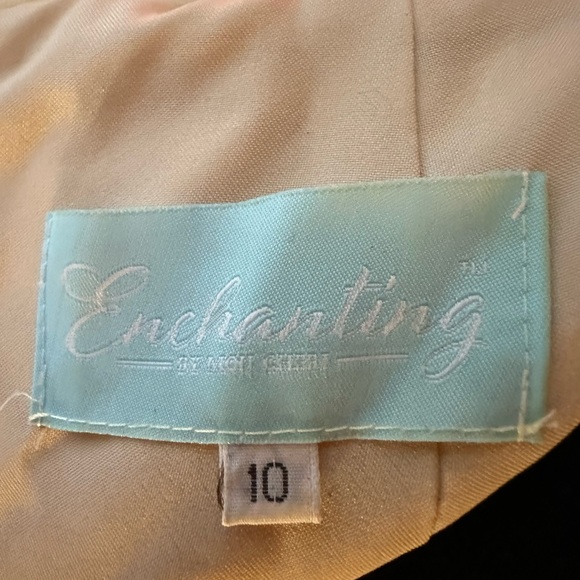 size 10 Enchanting by Mon Cheri Professionally dry cleaned in box. - Picture 5 of 10